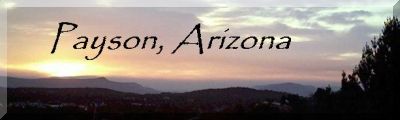 Town of Payson Website